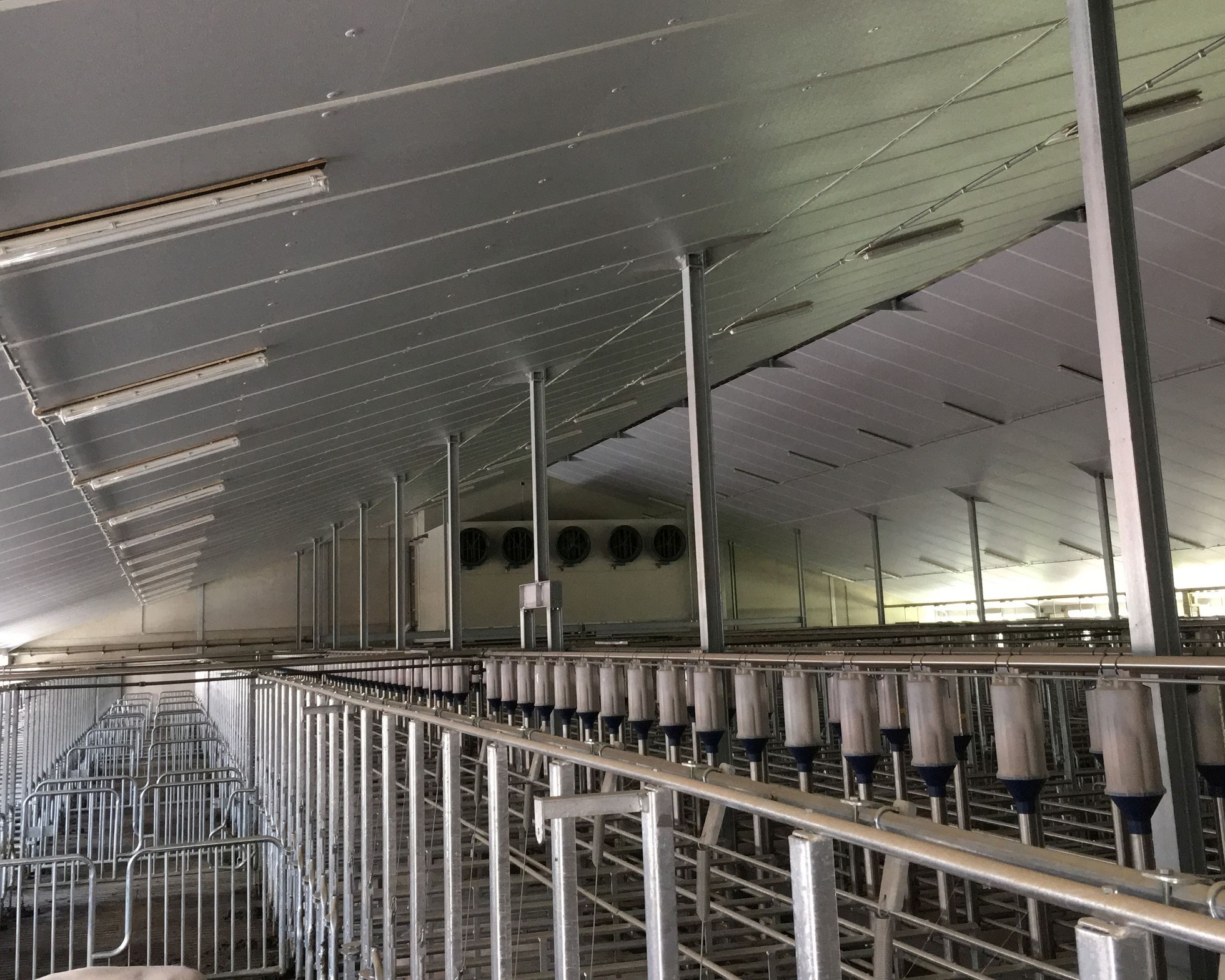 Farrowing house with ventilation without air duct