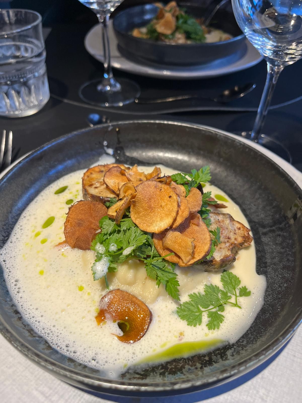 WhatsApp Image 2026-01-16 at 14.43.11-.jpeg